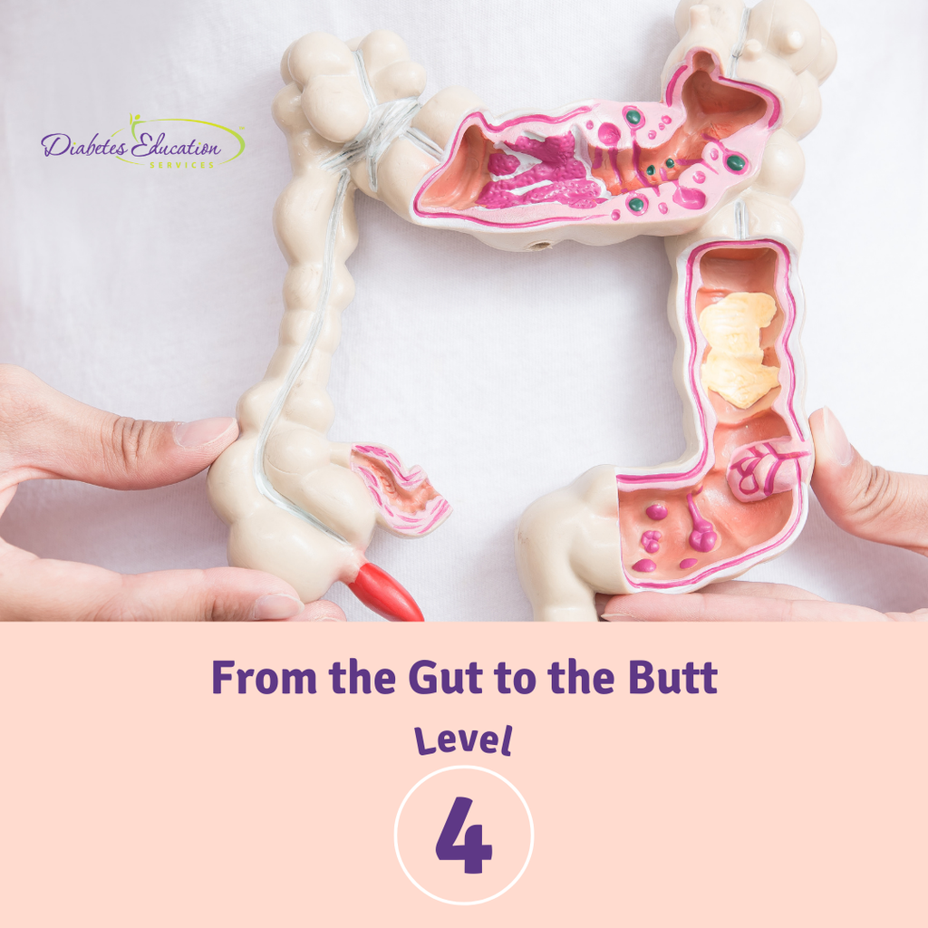 Level 4 | From the Gut to the Butt – Exploring the GI System | 1.75 CEs