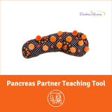 Pancreas Partner | Diabetes Teaching Tool